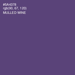 #5A4378 - Mulled Wine Color Image